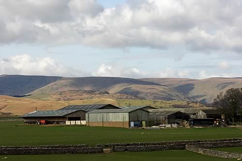 Farm Images